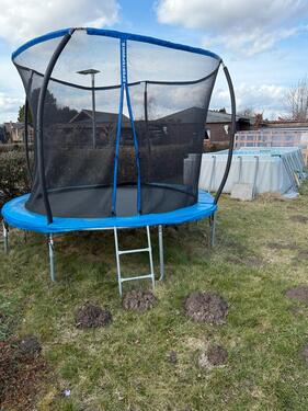 Foto - Garten in Hemmingen ( Hiddestorf )