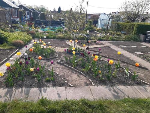 Foto - Grundst&uuml;ck zur Miete in Neustadt in Sachsen
