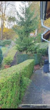 Foto - 1 Zimmer Einfamilienhaus zur Miete in Sinzig