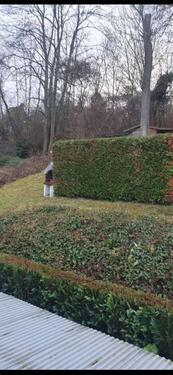 Foto - 1 Zimmer Einfamilienhaus in Sinzig