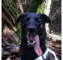 ~ Hundefreunde aufgepasst ~ - 570,00 EUR Kaltmiete, in Burgthann (PLZ: 90559)