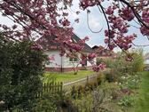 Foto - Immoblien mieten - 1.050,00&nbsp;EUR Kaltmiete, ca.&nbsp; 120,00&nbsp;m&sup2;