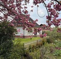 Immoblien mieten - 1.050,00&nbsp;EUR Kaltmiete, ca.&nbsp; 120,00&nbsp;m&sup2; in Detern (PLZ: 26847)