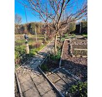 Strebergarten am VFL Pirna - 5.000,00&nbsp;EUR Kaltmiete, ca.&nbsp; 0,00&nbsp;m&sup2; in Pirna (PLZ: 01796)