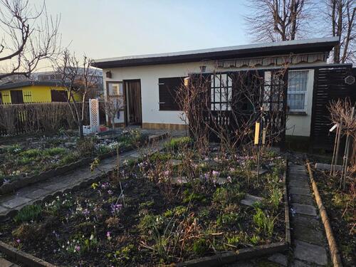 Foto - Kleingarten in Kleiner Palmengarten e.V. in Leipzig-Lindenau