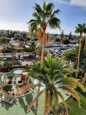 Foto - andere zur Miete in Düsseldorf