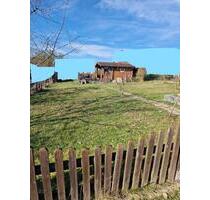 Kleingarten Garten Pachtgarten - 50,00&nbsp;EUR Kaltmiete, ca.&nbsp; 0,00&nbsp;m&sup2; in Schkeuditz (PLZ: 04435)