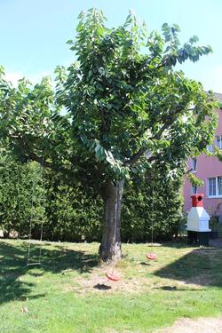 Foto - 3 Zimmer Erdgeschoßwohnung zur Miete in Castrop-Rauxel