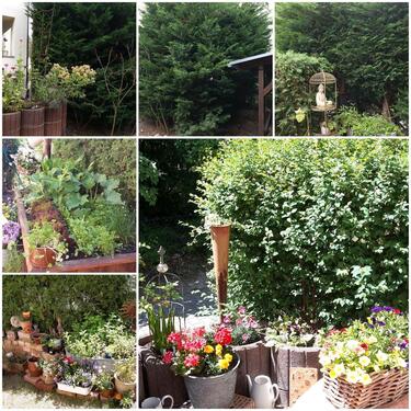 Foto - Etagenwohnung in Rangsdorf zur Miete