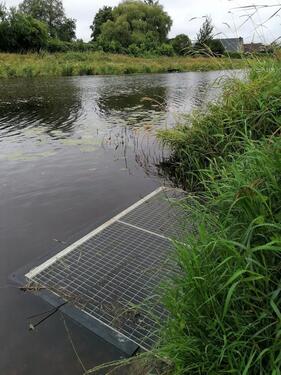 Foto - andere in Moormerland zur Miete