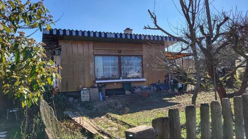 Foto - Garten in der Gartenanlage - 300,00&nbsp;EUR Kaltmiete, ca.&nbsp; 0,00&nbsp;m&sup2;