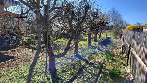 Foto - Grundst&uuml;ck in Pößneck