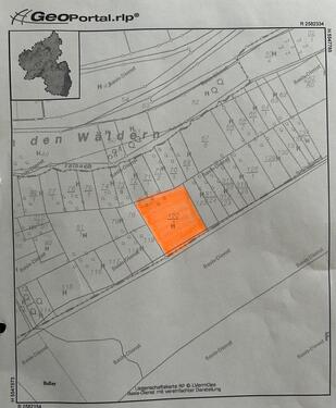 Foto - Wald Grundstück Parzelle Bullay im Wiesengrund