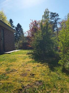 Foto - Einfamilienhaus in Buchholz in der Nordheide zur Miete