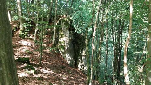 Foto - Grundstück in Obertrubach