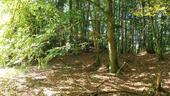 Foto - Grundstück in Obertrubach zur Miete