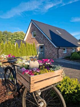 Foto - Ferienwohnung Ferienhaus Fewo Urlaub Emsland Hund