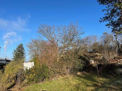 Foto - Einfamilienhaus in Halle (Saale) zur Miete