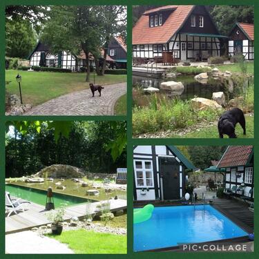 Foto - 8 Zimmer Einfamilienhaus zum Kaufen in Westerkappeln