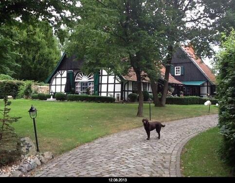 Foto - 8 Zimmer Einfamilienhaus in Westerkappeln