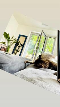 Foto - Wohnung zu Untermieten über Weihnachten neben Stemmerhof