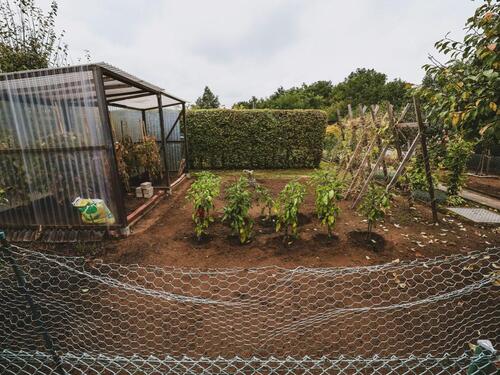 Foto - Freizeit Grundstück Kleingarten Garten zu verpachten