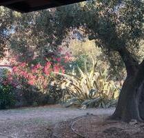 Schönes u. ruhiges Bauernhäuschen auf Sardinien - Leipzig Ost