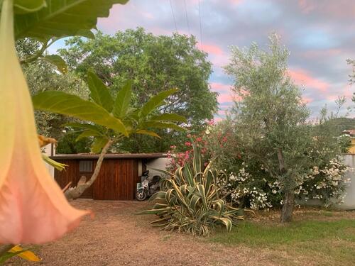 Foto - andere in Leipzig