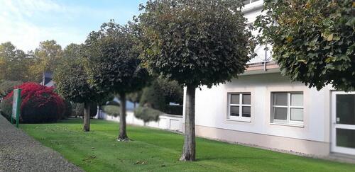 Foto - 2 Zimmer Erdgeschoßwohnung in Michendorf