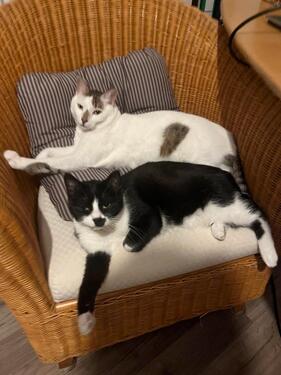 Foto - WG Neugründung:) - 450,00 EUR Kaltmiete,