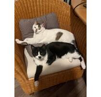 WG Neugründung:) - 450,00 EUR Kaltmiete, in Buckenhof (PLZ: 91054)