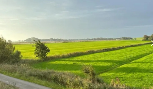 Foto - andere zur Miete in Butjadingen