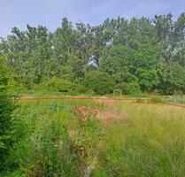 3.300,00&nbsp;EUR Kaltmiete, ca.&nbsp; 0,00&nbsp;m&sup2; in Hötensleben (PLZ: 39393)