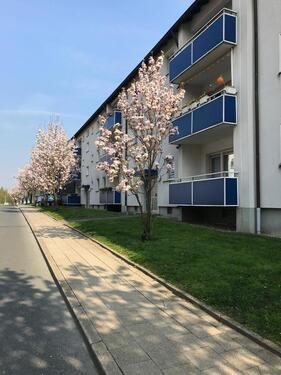 Foto - 2,5 Zimmer Wohnung Balkon, Keller in Wattenscheid Höntrop