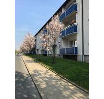 2,5 Zimmer Wohnung Balkon, Keller in Wattenscheid Höntrop - Bochum Eppendorf