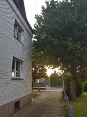 Foto - Einfamilienhaus in Wittingen