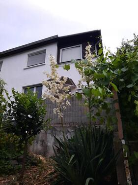 Foto - Einfamilienhaus - 69.000,00 EUR Kaufpreis,