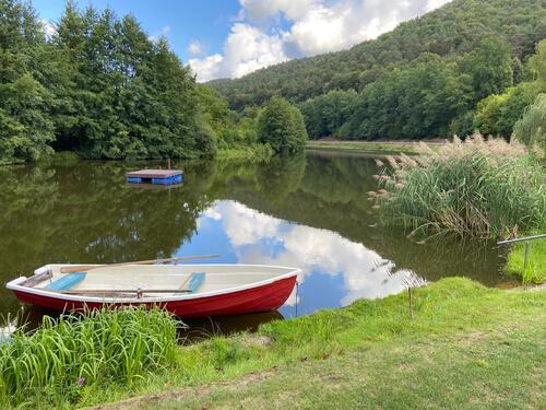 Foto - andere in Fischbach bei Dahn zur Miete