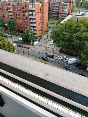Foto - 