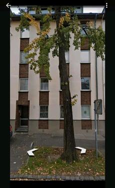 Foto - Schöne 3 Zimmerwohnung im Erdgeschoss zum 01.01.2026 zu vermieten