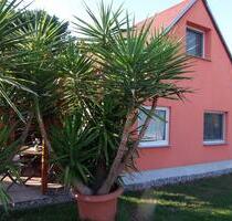 Ferienhaus Ferienwohnung mit Angelboot - Ketzin