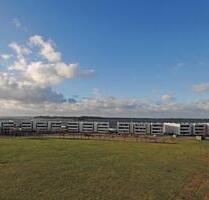 Ferienwohnung am Südstrand Fehmarn Ostsee Urlaub