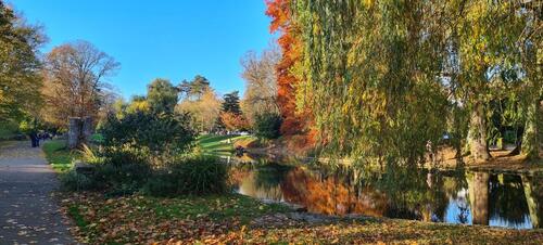 Foto - Dachgeschoßwohnung in Wiesbaden zur Miete
