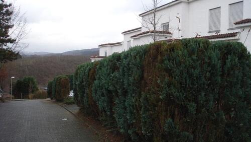 Foto - 1 Zimmer Terrassenwohnung in Netphen