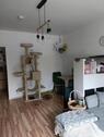 Foto - Etagenwohnung in Nürnberg zur Miete