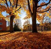 2-Zimmer Wohnung im 2. OG in Nürnberg-St. Jobst