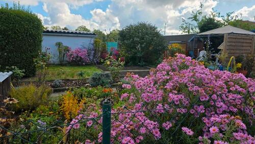 Foto - Grundst&uuml;ck in Dresden