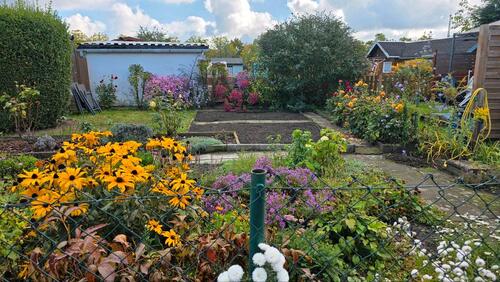Foto - Grundst&uuml;ck in Dresden zur Miete