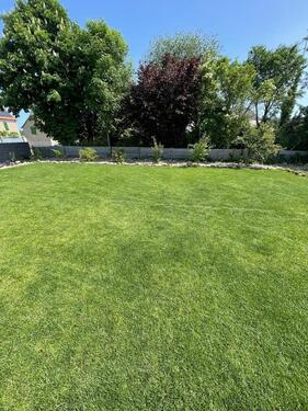 Foto - 4 Zimmer Einfamilienhaus zum Kaufen in Elsteraue