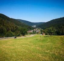 3,5 Zimmerwohnung in Bad Herrenalb - Oberes Gaistal